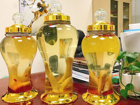 Ngâm Nhung Hươu Với Gì? 4 Cách Ngâm Nhung Hươu Phổ Biến