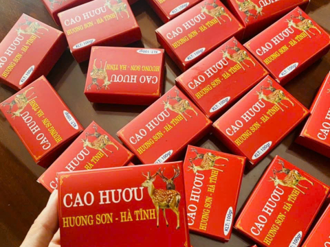 Hoạt động 1 (1) (1)