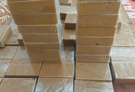 Hoạt động 1 (1)