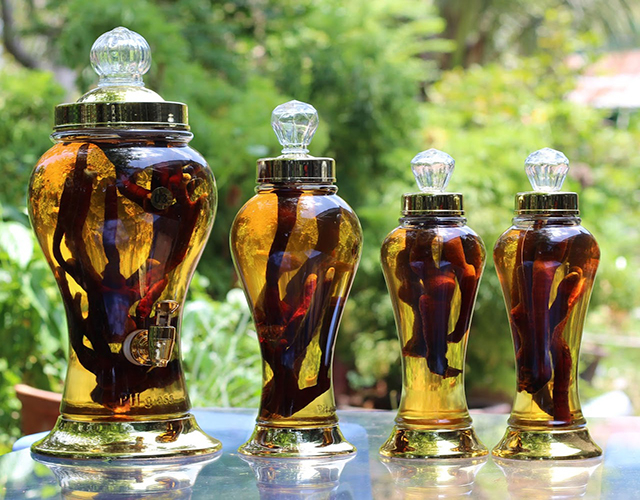 Nhung hươu là gì? Công dụng của nhung hươu đối với sức khỏe