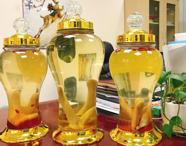 Ngâm Nhung Hươu Với Gì? 4 Cách Ngâm Nhung Hươu Phổ Biến