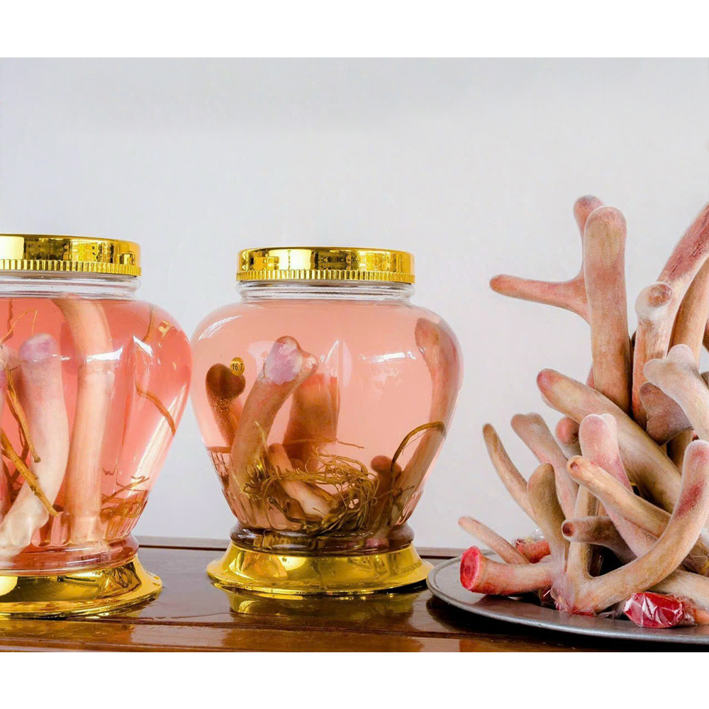 Nhung hươu ngâm rượu Hương Sơn